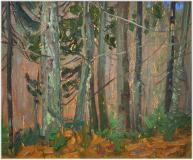 Algoma bush, Oil on panel, 8½'' x 10½''<span class="sold">sold</span>