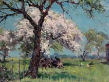 Apple orchard in bloom, Huile sur panneau, 12'' x 16''<span class="sold">vendu</span>