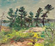 Early evening, Georgian Bay, Huile sur panneau, 20'' x 24''<span class="sold">vendu</span>